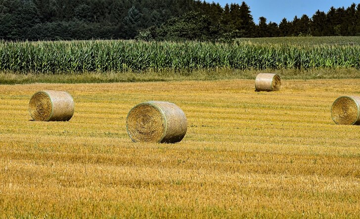 hay-bales-4501943_1920